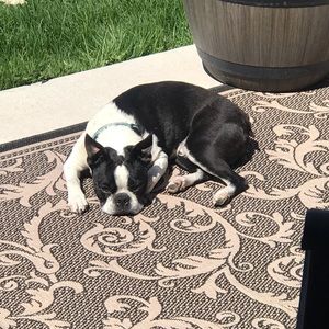 Meet your Posher, Allison